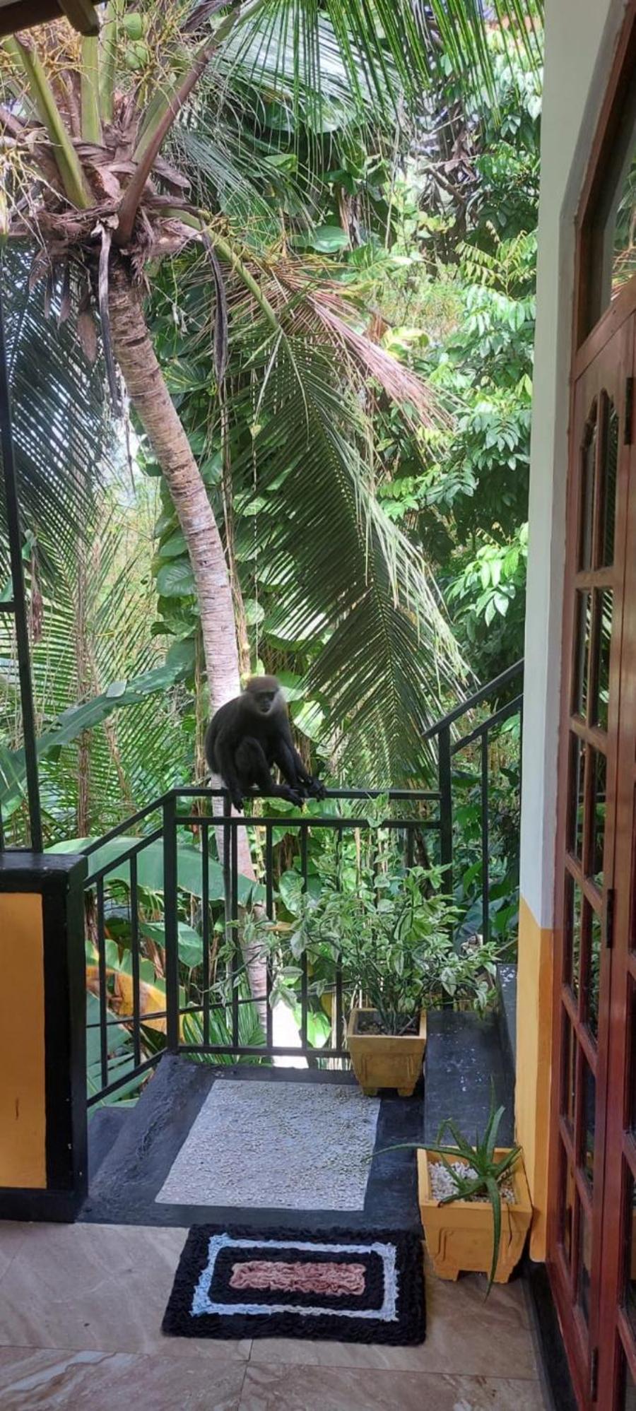 Freedom House Villa Unawatuna Buitenkant foto